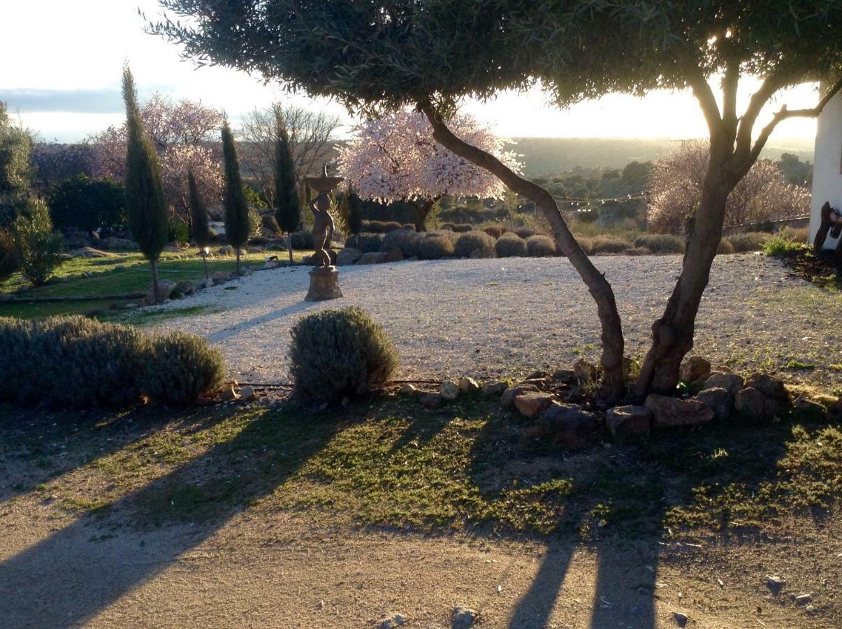 Finca El Cerco A 5M De Puy Du Fou Y 10M A Casco Antiguo De Toledo Argés Exterior foto