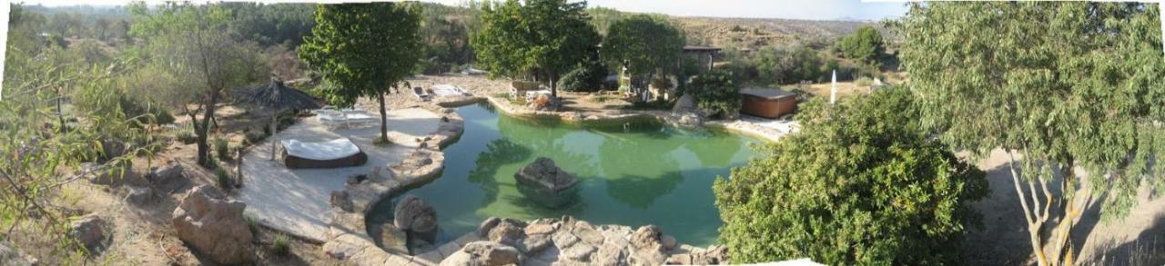 Finca El Cerco A 5M De Puy Du Fou Y 10M A Casco Antiguo De Toledo Argés Exterior foto